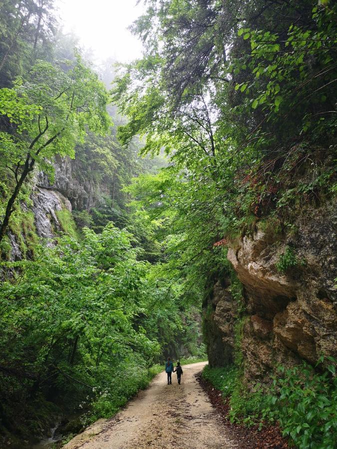 Mountain Lodge Rîşnov Dış mekan fotoğraf