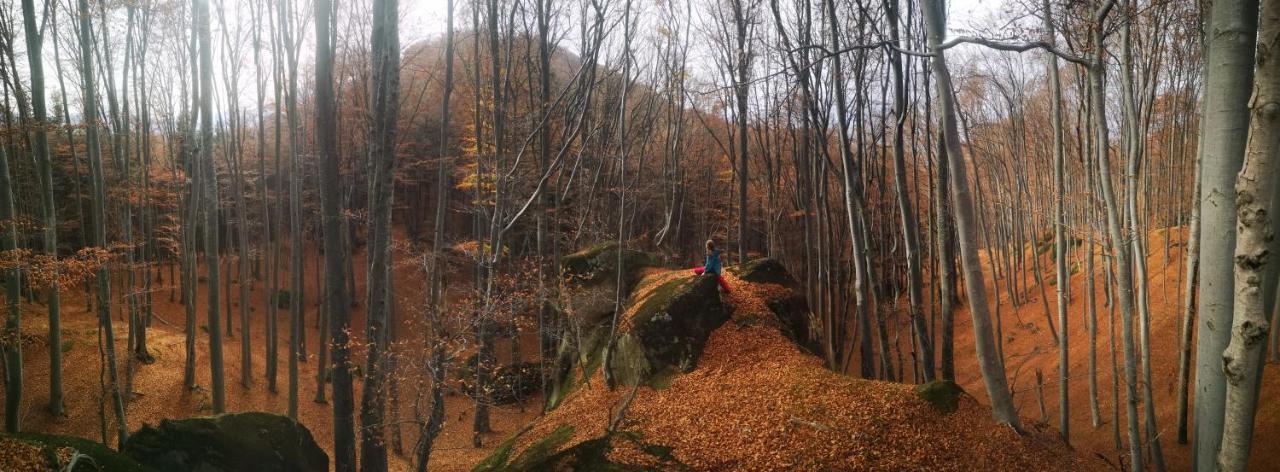 Mountain Lodge Rîşnov Dış mekan fotoğraf