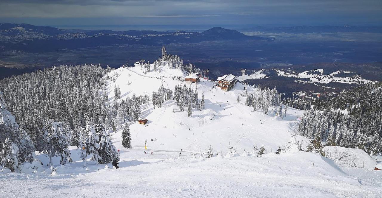 Mountain Lodge Rîşnov Dış mekan fotoğraf