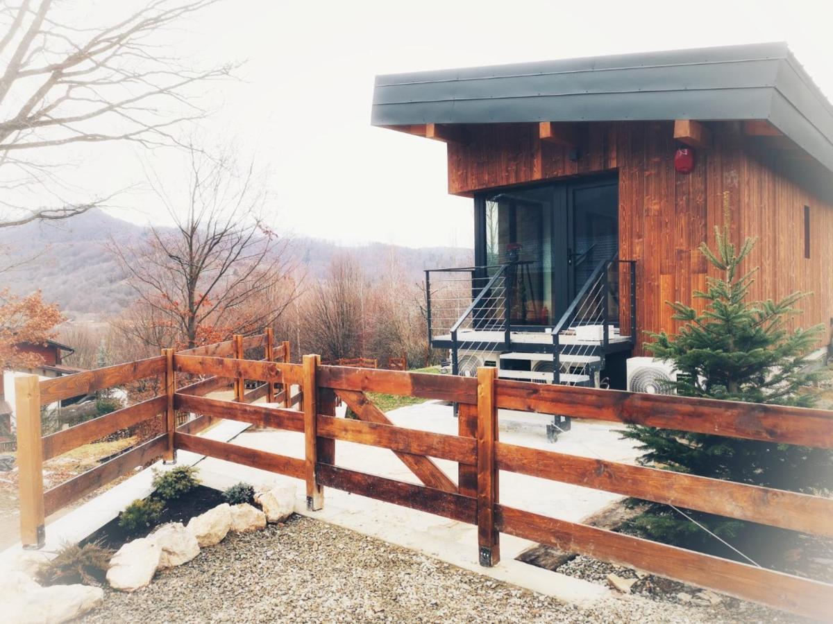 Mountain Lodge Rîşnov Dış mekan fotoğraf
