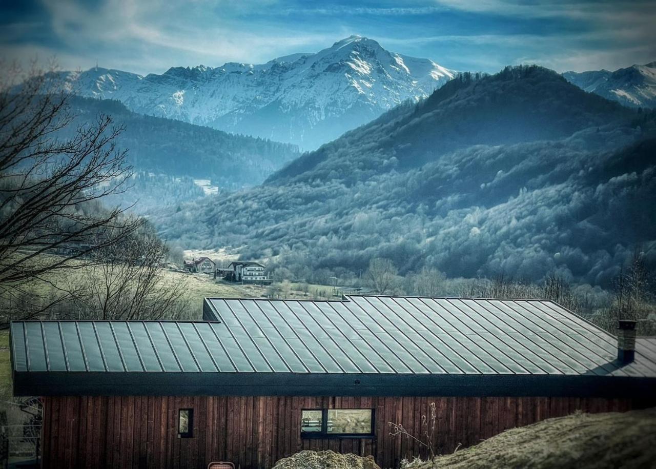 Mountain Lodge Rîşnov Dış mekan fotoğraf